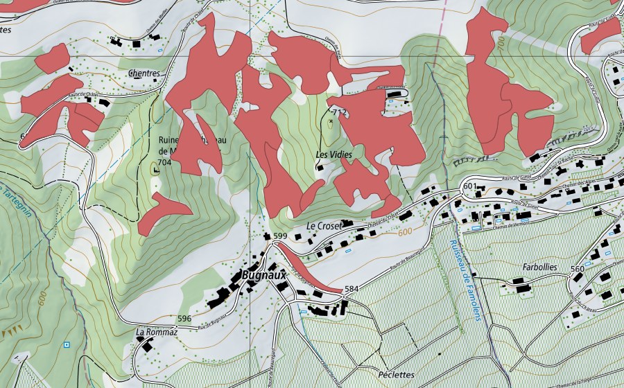 swisstopo national map showing the protected perimeter of Bugnaux (Dry meadow)