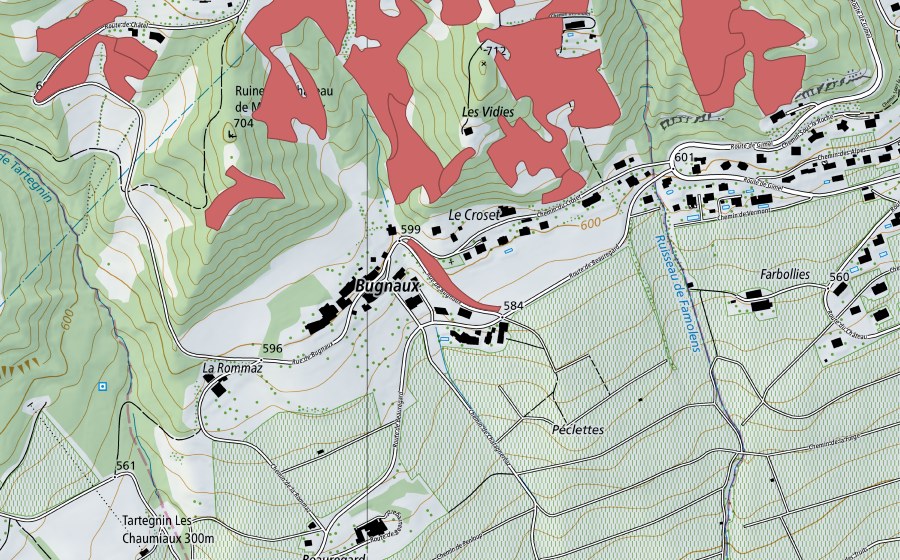 swisstopo national map showing the protected perimeter of Bugnaux (Dry meadow)