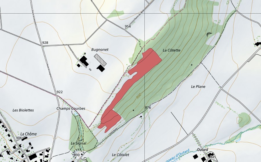 Carte nationale swisstopo avec le périmètre protégé de Bugnonet (Prairie sèche)