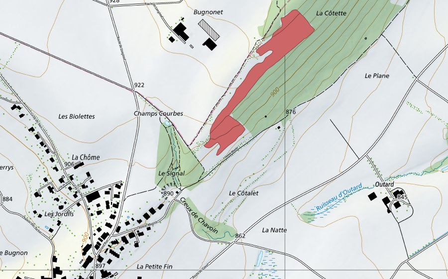 swisstopo national map showing the protected perimeter of Bugnonet (Dry meadow)