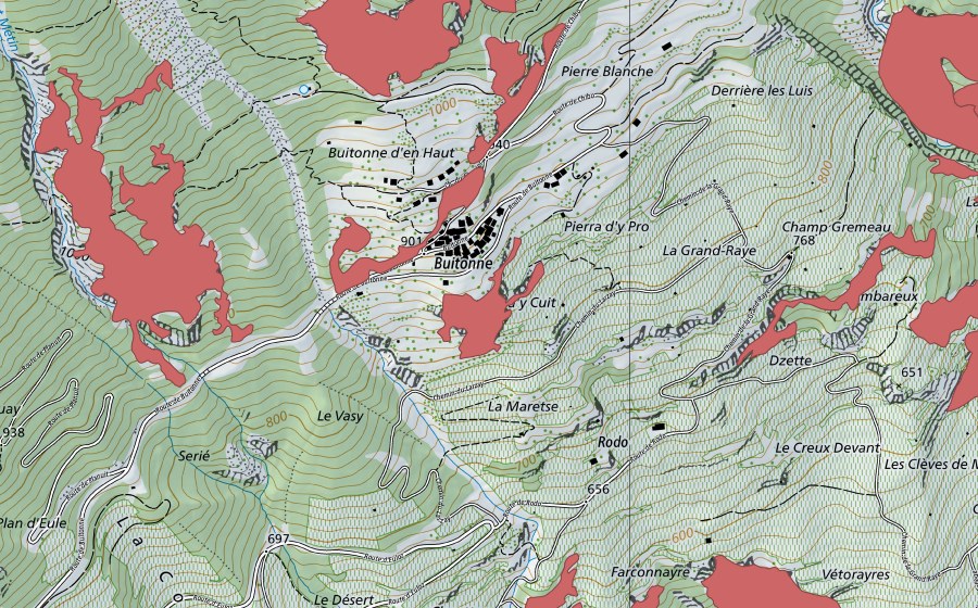 swisstopo national map showing the protected perimeter of Buitonnaz (Dry meadow)