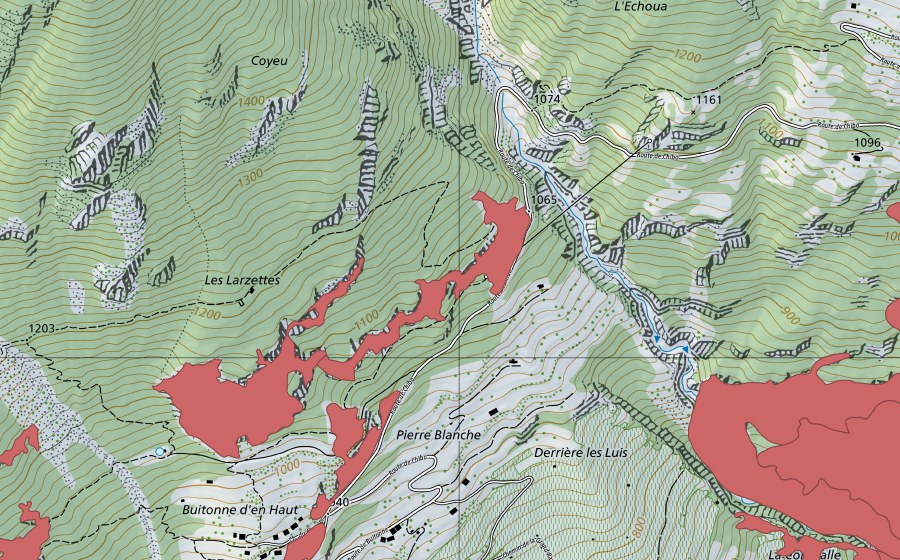 Landeskarte swisstopo mit dem Schutzperimeter von Buitonnaz (Trockenwiese)