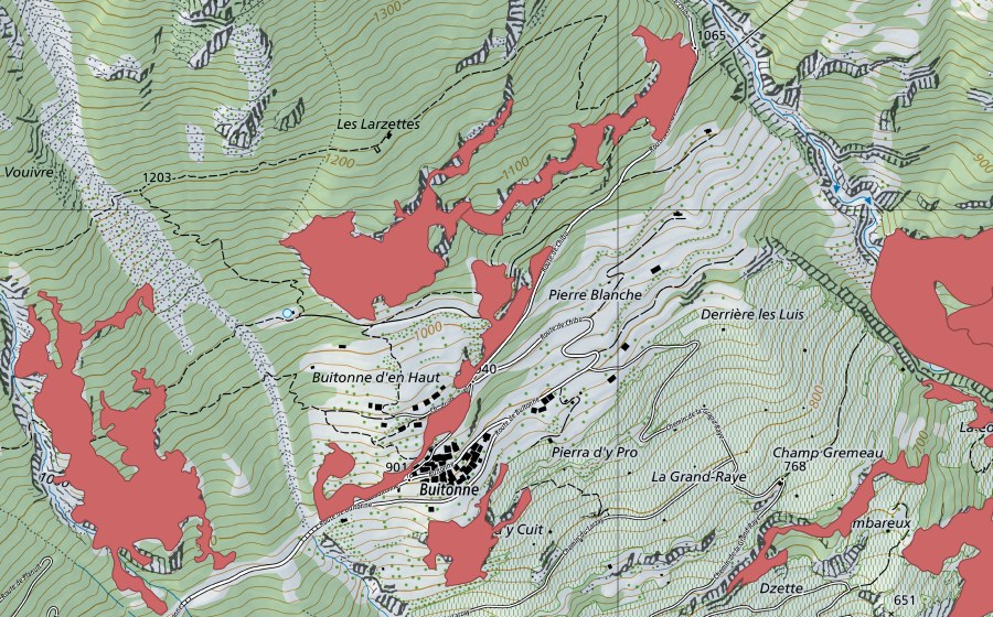Landeskarte swisstopo mit dem Schutzperimeter von Buitonnaz (Trockenwiese)