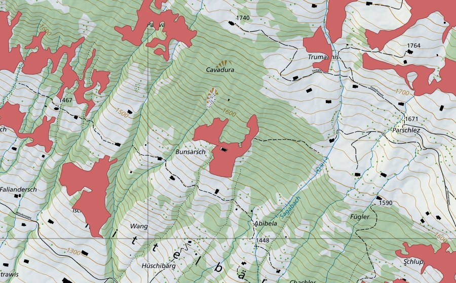 Landeskarte swisstopo mit dem Schutzperimeter von Bunsarsch (Trockenwiese)