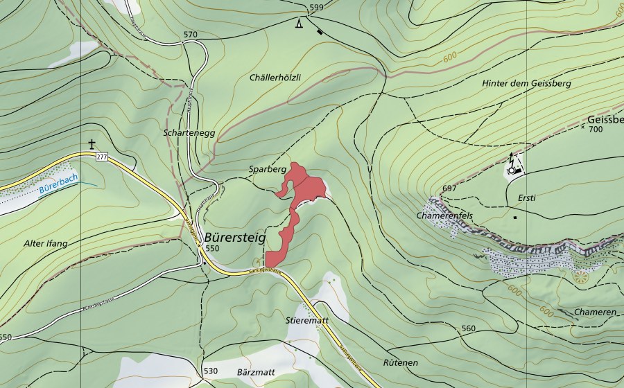Carte nationale swisstopo avec le périmètre protégé de Bürersteig (Prairie sèche)