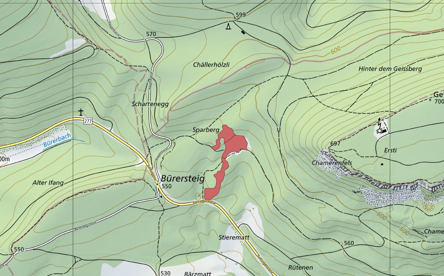 Landeskarte swisstopo mit dem Schutzperimeter von Bürersteig (Trockenwiese)