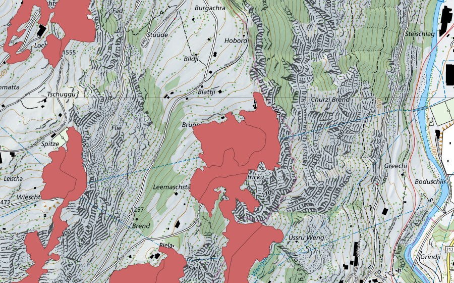 Carte nationale swisstopo avec le périmètre protégé de Burgachra (Prairie sèche)