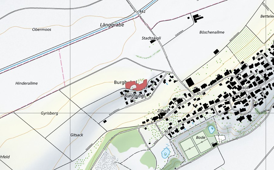 Carte nationale swisstopo avec le périmètre protégé de Burghubel (Prairie sèche)