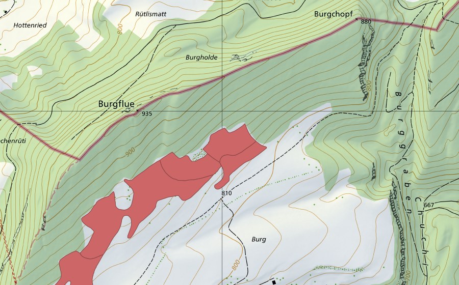 Landeskarte swisstopo mit dem Schutzperimeter von Burgweid (Trockenwiese)