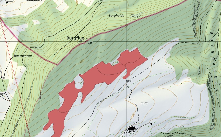 Carte nationale swisstopo avec le périmètre protégé de Burgweid (Prairie sèche)