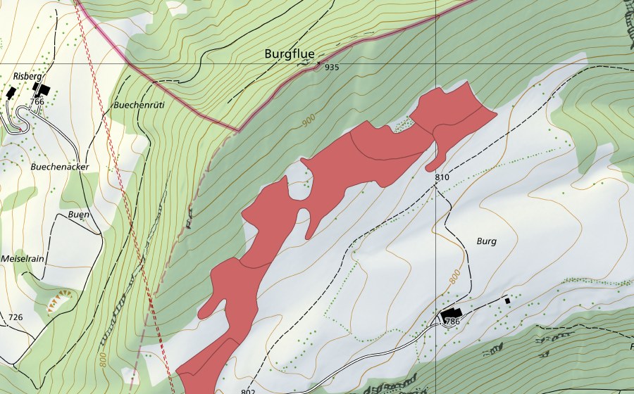 swisstopo national map showing the protected perimeter of Burgweid (Dry meadow)