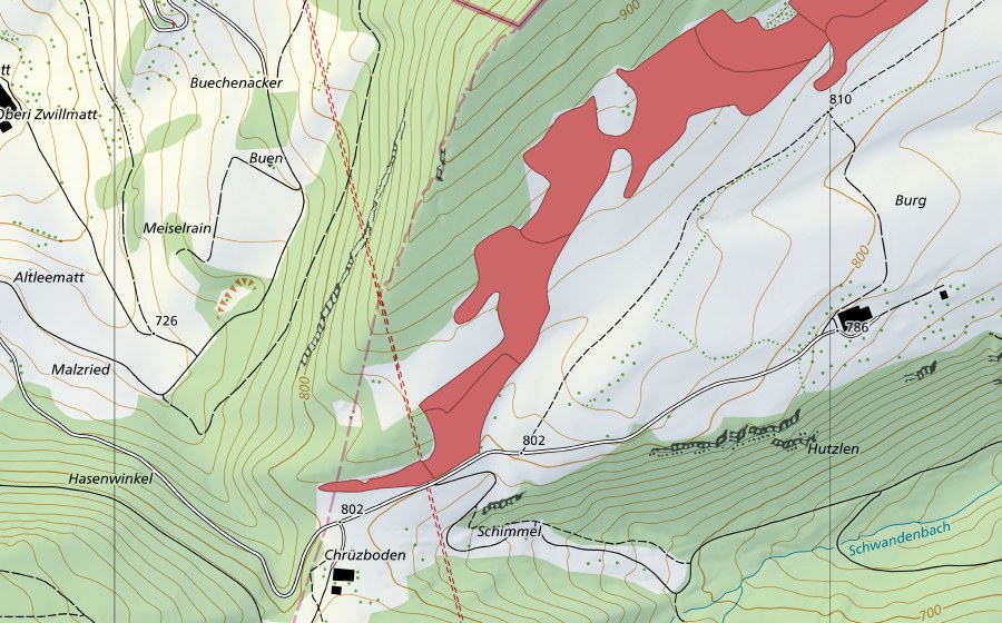 Landeskarte swisstopo mit dem Schutzperimeter von Burgweid (Trockenwiese)