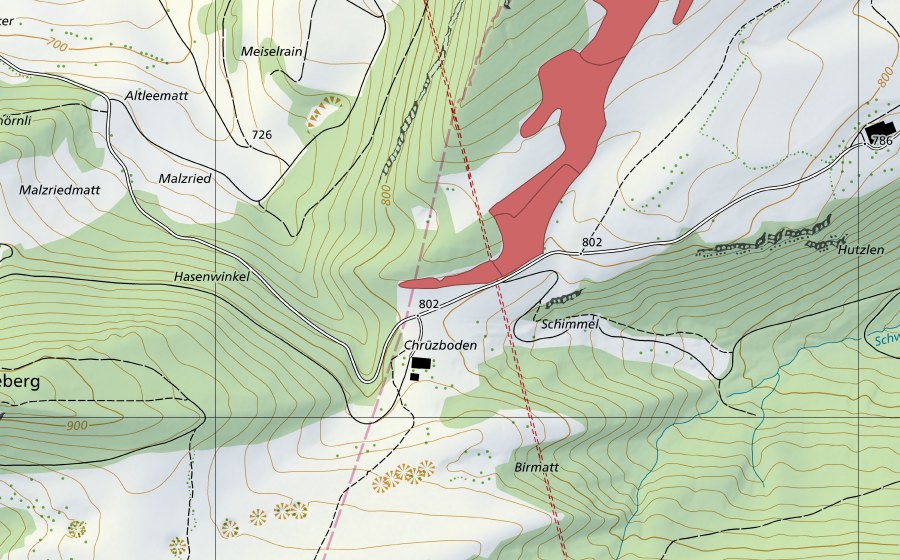 Landeskarte swisstopo mit dem Schutzperimeter von Burgweid (Trockenwiese)