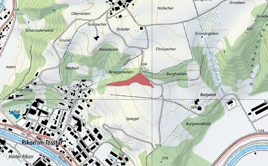 Landeskarte swisstopo mit dem Schutzperimeter von Burgweid (Trockenwiese)