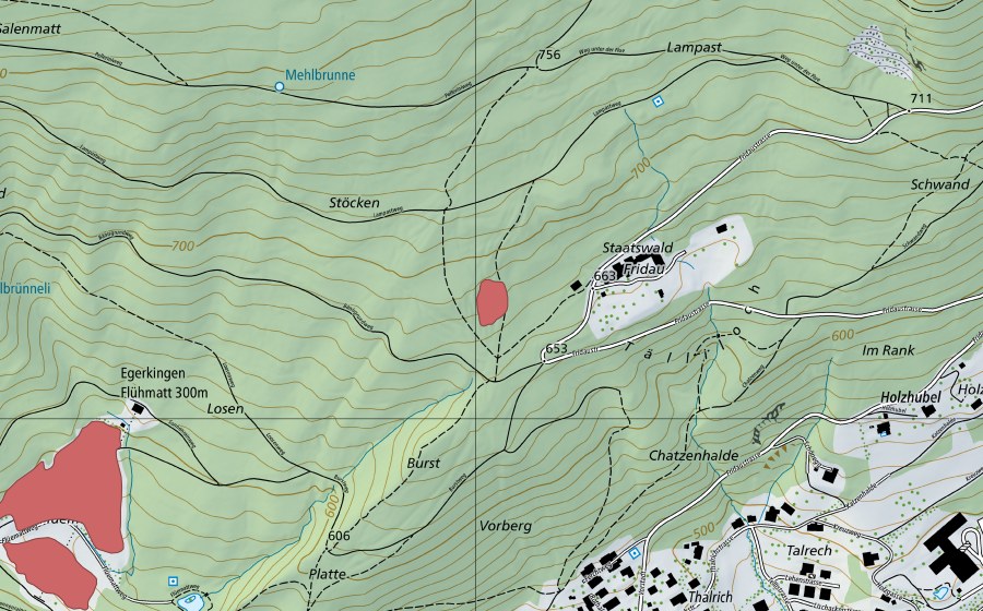 swisstopo national map showing the protected perimeter of Burst (Dry meadow)