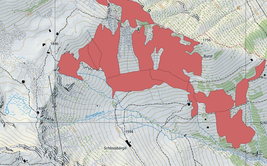 swisstopo national map showing the protected perimeter of Burstegg (Dry meadow)