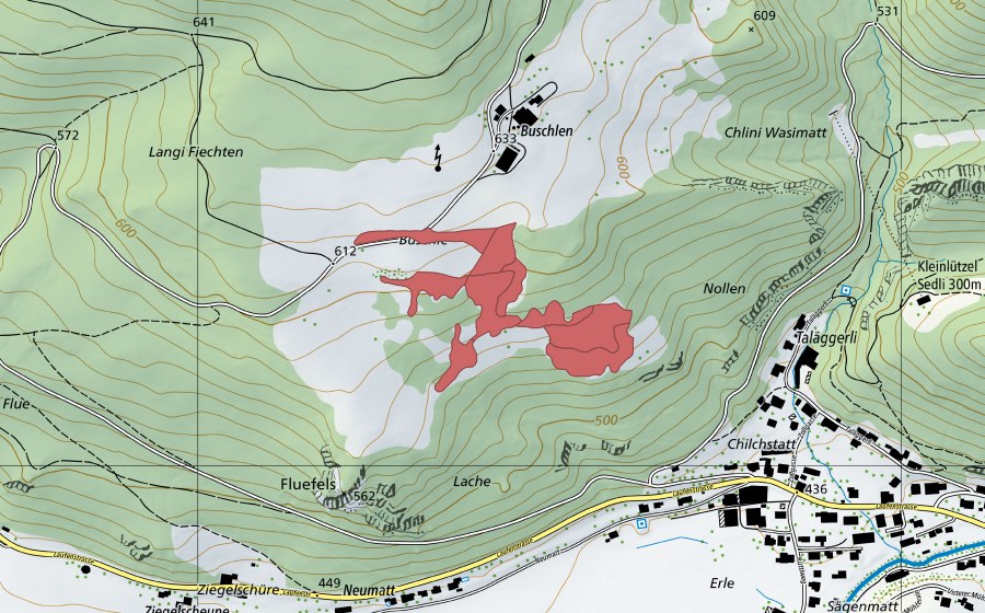 swisstopo national map showing the protected perimeter of Buschle (Dry meadow)