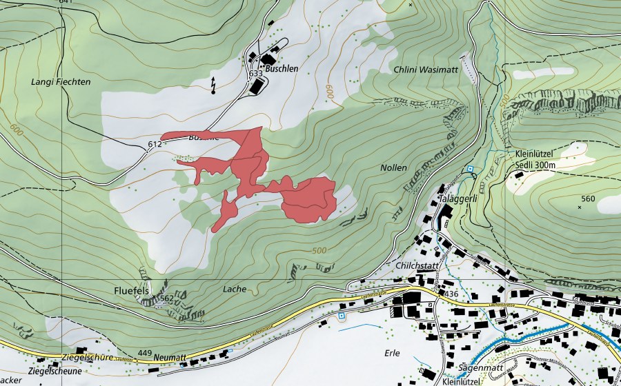Landeskarte swisstopo mit dem Schutzperimeter von Buschle (Trockenwiese)