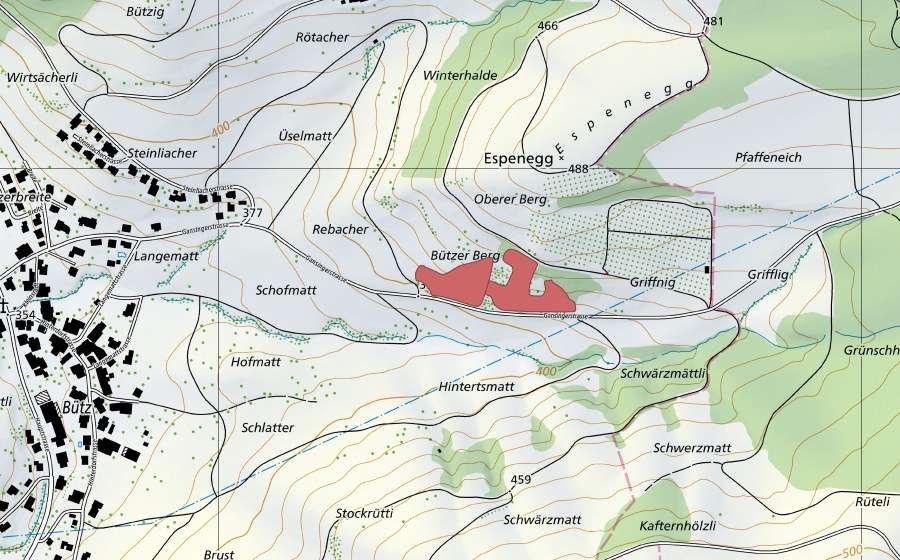 swisstopo national map showing the protected perimeter of Bützerberg (Dry meadow)