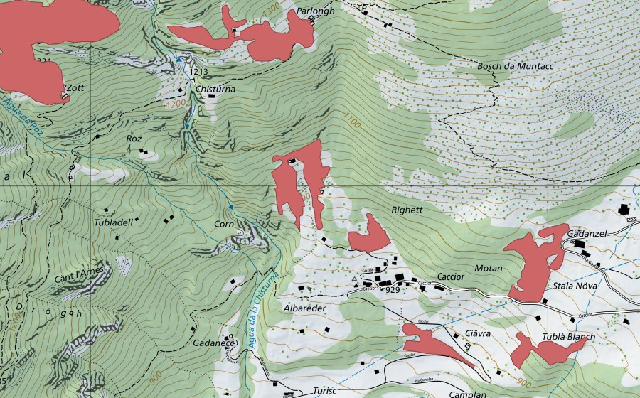 Landeskarte swisstopo mit dem Schutzperimeter von Caccior (Trockenwiese)
