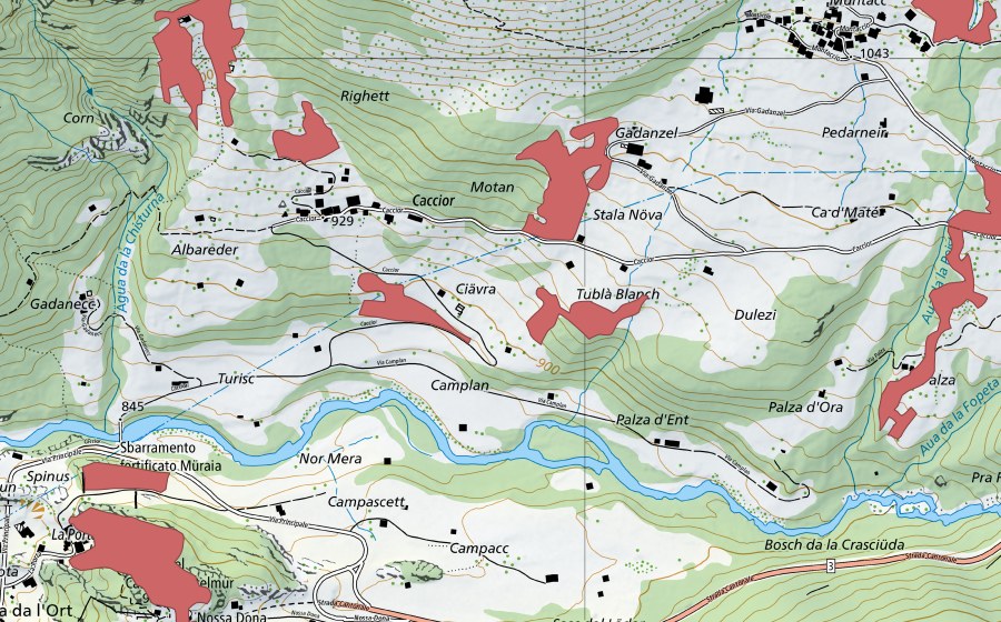 Landeskarte swisstopo mit dem Schutzperimeter von Caccior (Trockenwiese)
