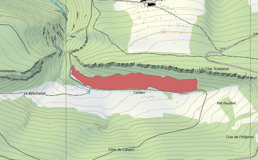 Landeskarte swisstopo mit dem Schutzperimeter von Calabri (Trockenwiese)