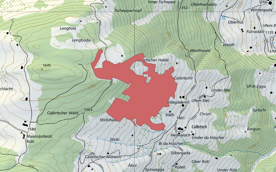 Landeskarte swisstopo mit dem Schutzperimeter von Calörtsch (Trockenwiese)