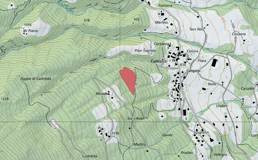swisstopo national map showing the protected perimeter of Campiroi (Dry meadow)