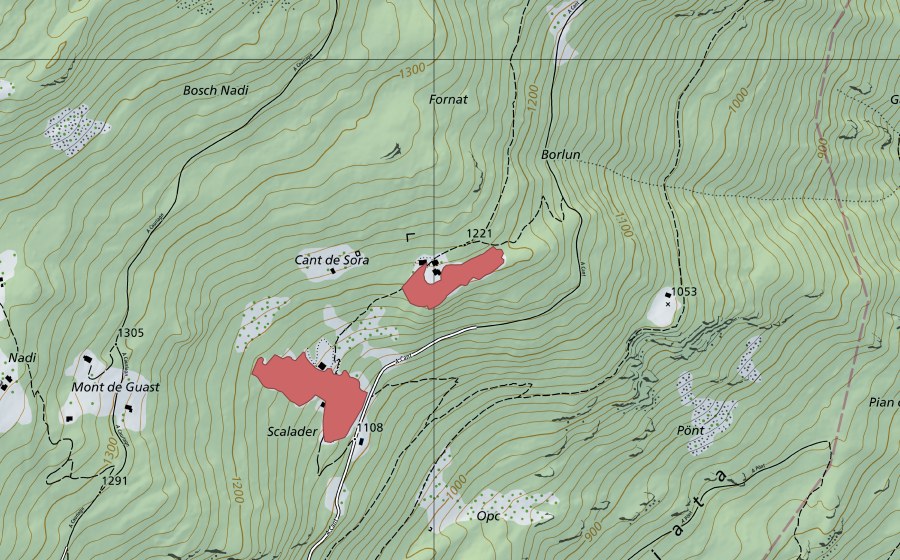 Landeskarte swisstopo mit dem Schutzperimeter von Cant (Trockenwiese)