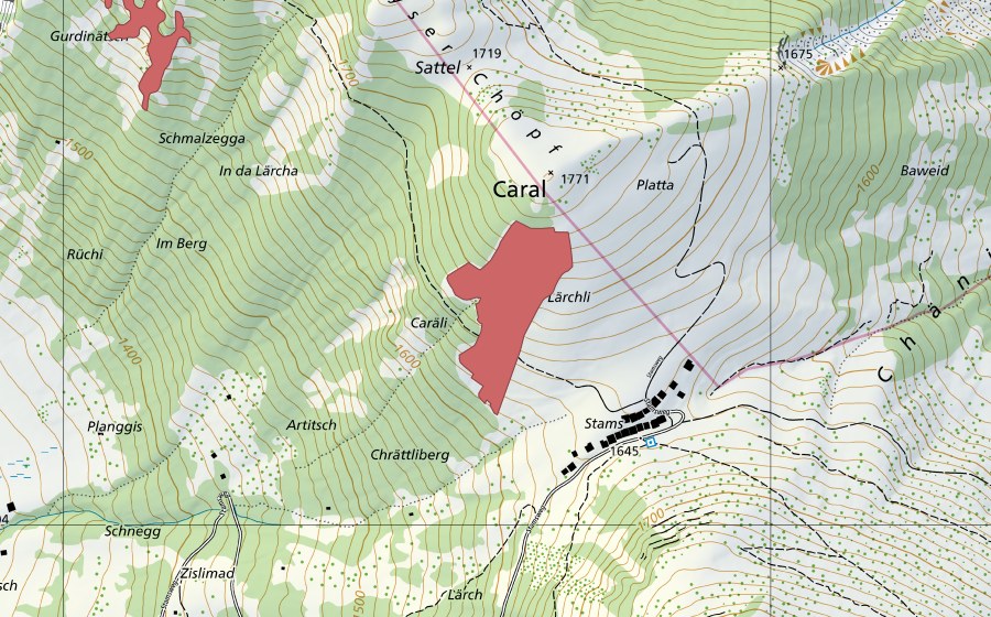swisstopo national map showing the protected perimeter of Caral (Dry meadow)