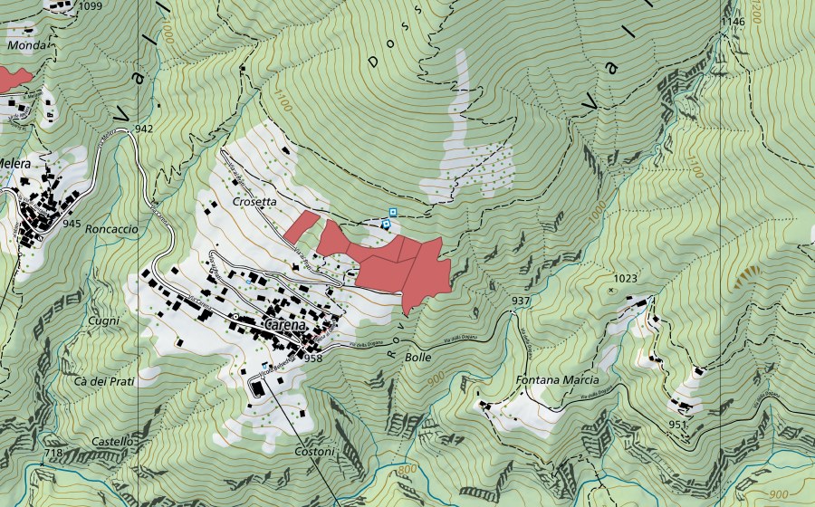 Landeskarte swisstopo mit dem Schutzperimeter von Carena (Trockenwiese)