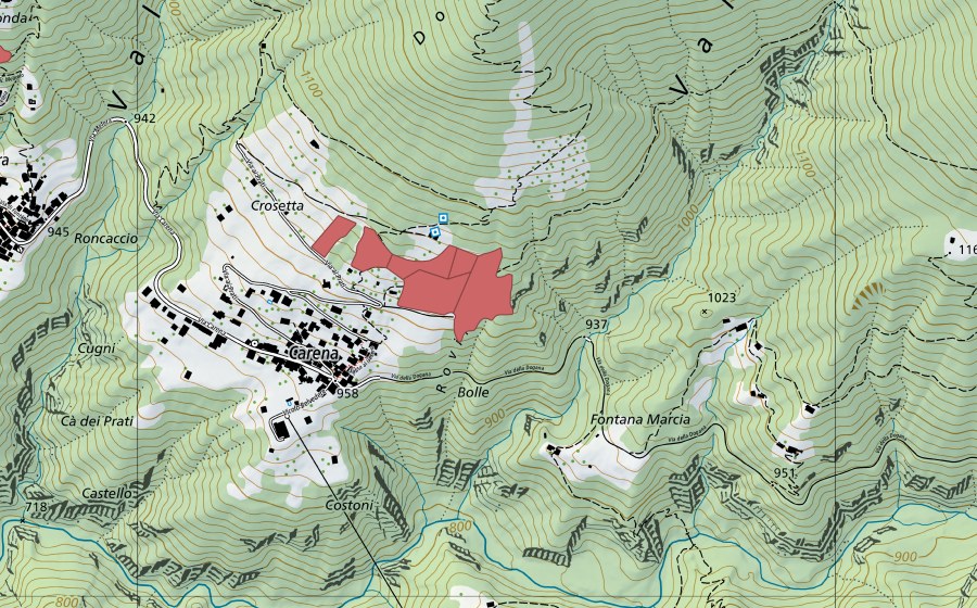 Carte nationale swisstopo avec le périmètre protégé de Carena (Prairie sèche)