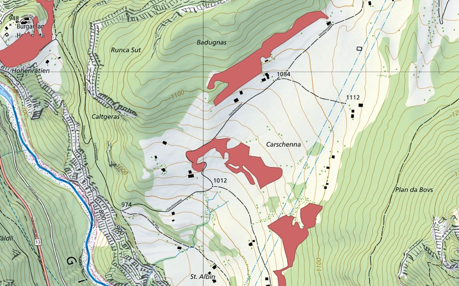 swisstopo national map showing the protected perimeter of Carschenna (Dry meadow)