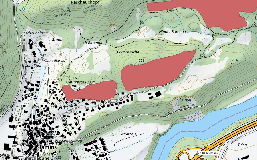 Carte nationale swisstopo avec le périmètre protégé de Cartschitscha (Prairie sèche)