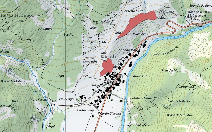 Landeskarte swisstopo mit dem Schutzperimeter von Casaccia (Trockenwiese)