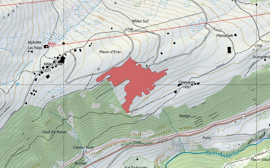swisstopo national map showing the protected perimeter of Caspusa (Dry meadow)