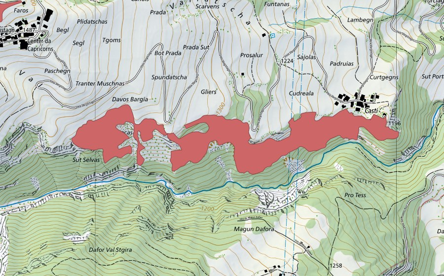 swisstopo national map showing the protected perimeter of Casti (Dry meadow)