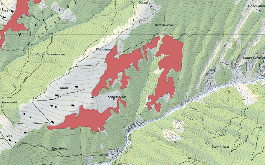 Landeskarte swisstopo mit dem Schutzperimeter von Cavadürli (Trockenwiese)