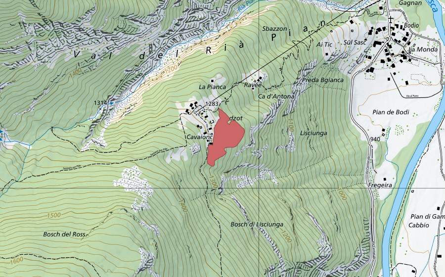 swisstopo national map showing the protected perimeter of Cavaionc (Dry meadow)