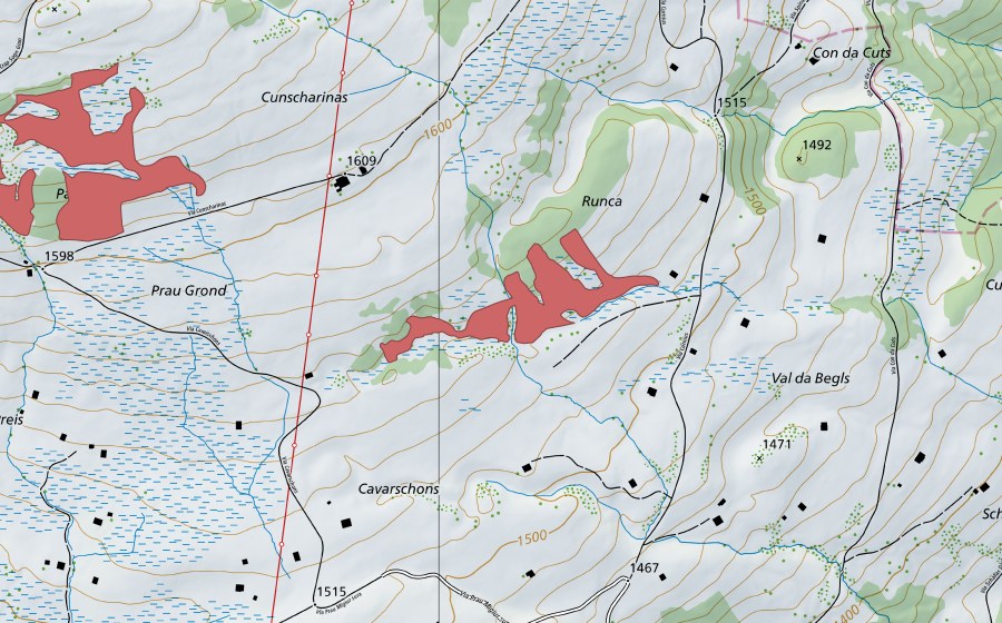swisstopo national map showing the protected perimeter of Cavarschons (Dry meadow)