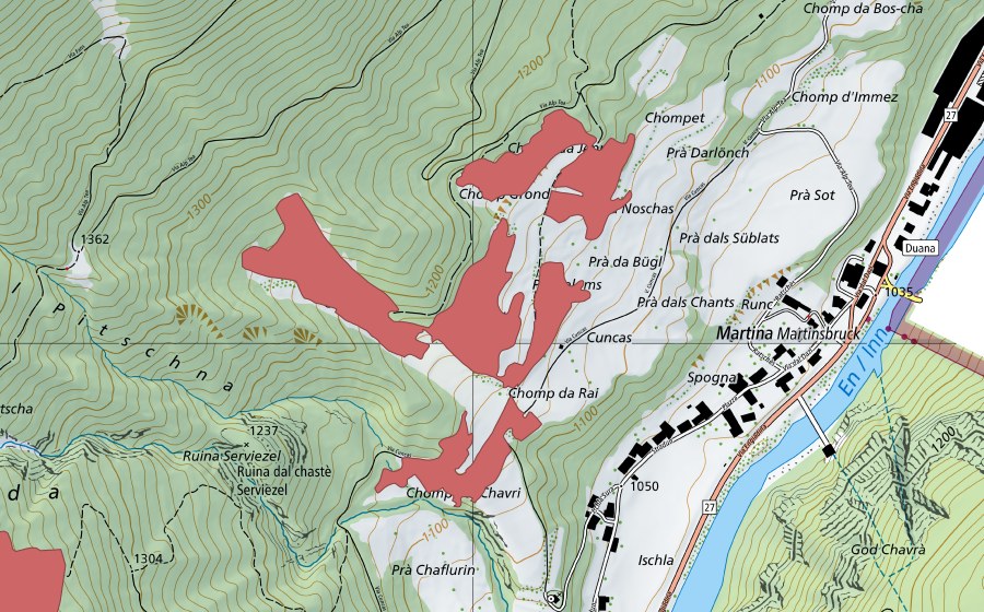 swisstopo national map showing the protected perimeter of Cha Noschas (Dry meadow)