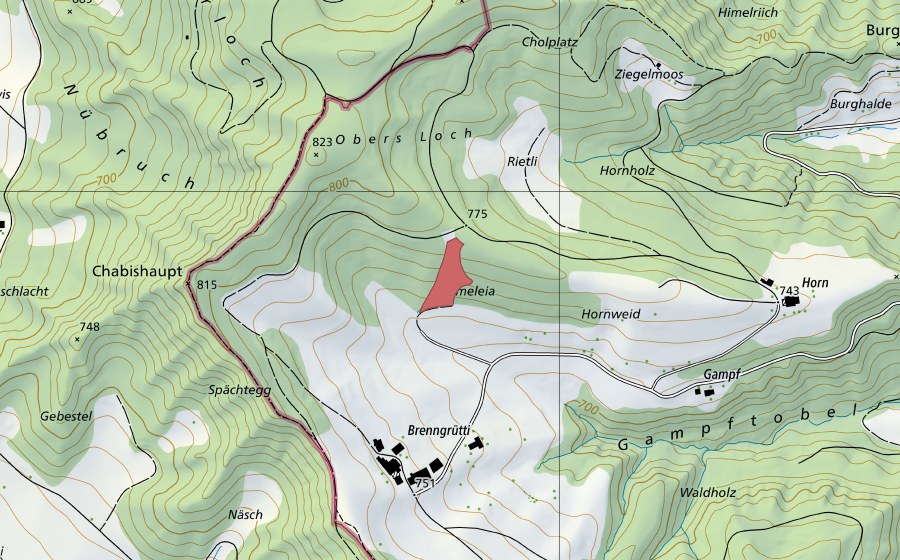 Carte nationale swisstopo avec le périmètre protégé de Chabishaupt (Prairie sèche)