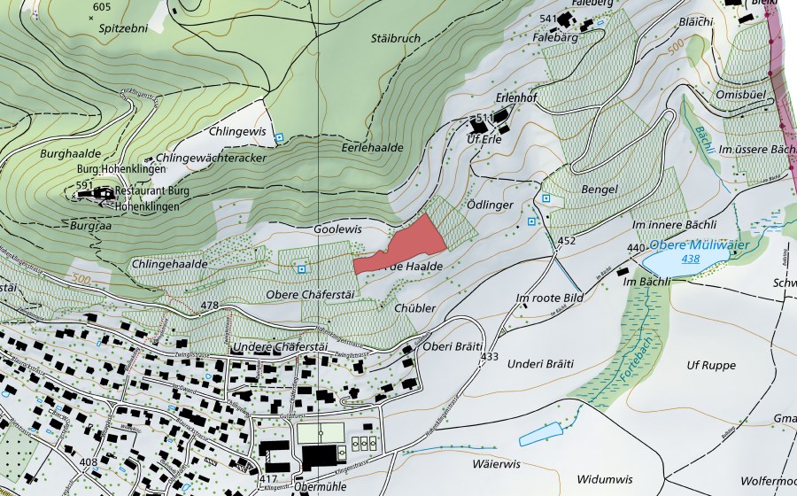 swisstopo national map showing the protected perimeter of Chäferstei (Dry meadow)