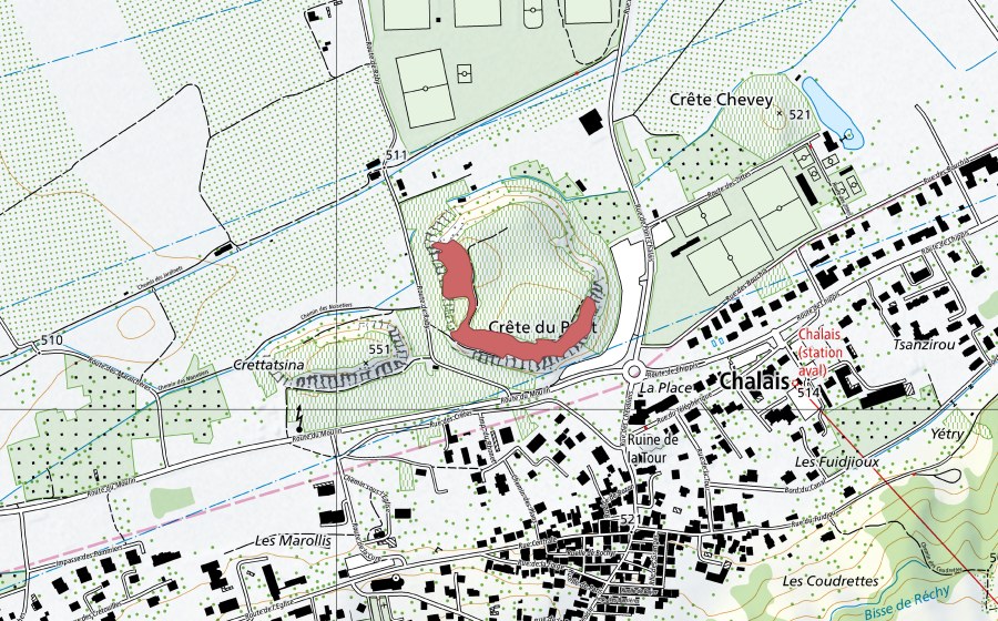 Landeskarte swisstopo mit dem Schutzperimeter von Chalais (Trockenwiese)