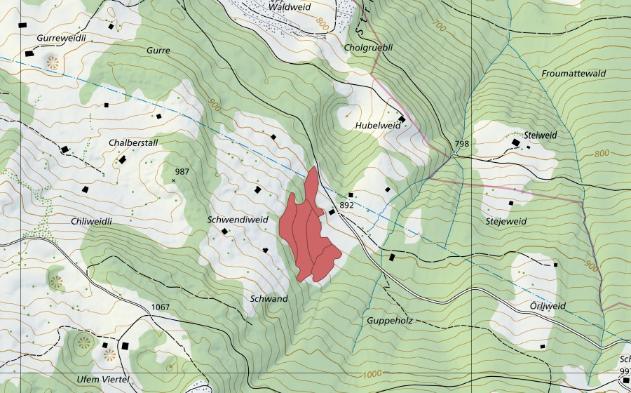 swisstopo national map showing the protected perimeter of Chalberstall (Dry meadow)