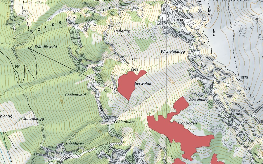 Carte nationale swisstopo avec le périmètre protégé de Chalberweidli (Prairie sèche)