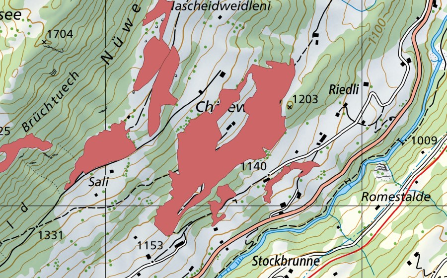 swisstopo national map showing the protected perimeter of Chäleweid (Dry meadow)