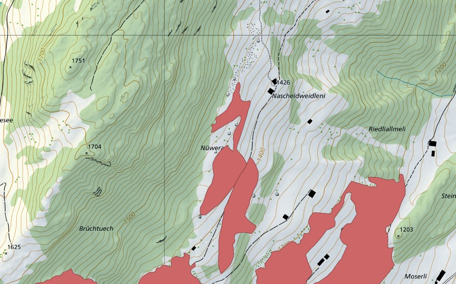 swisstopo national map showing the protected perimeter of Chäleweid (Dry meadow)