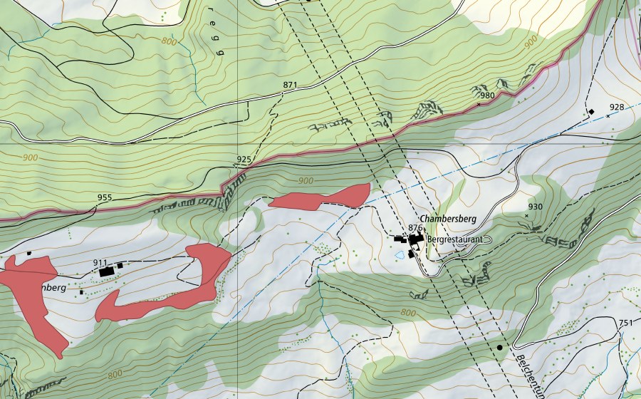 swisstopo national map showing the protected perimeter of Chambersberg (Dry meadow)