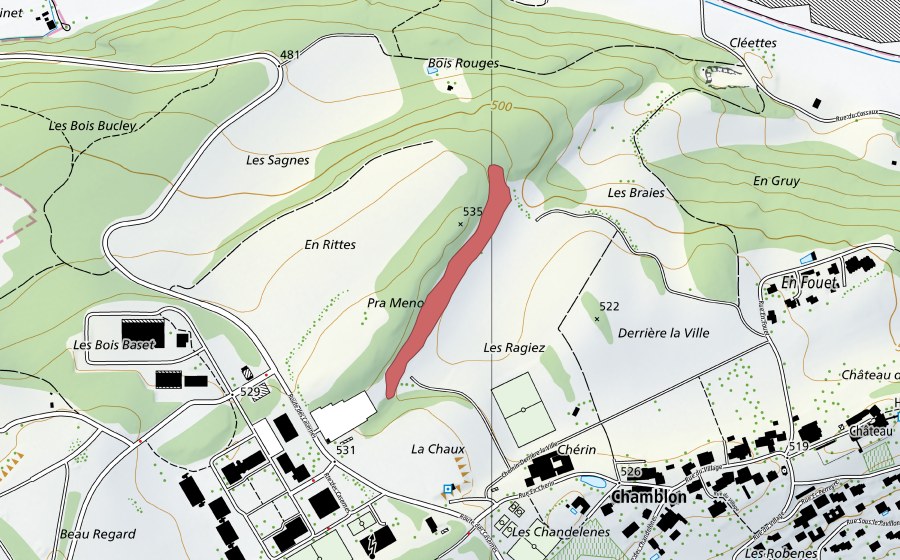 Landeskarte swisstopo mit dem Schutzperimeter von Chamblon (Trockenwiese)